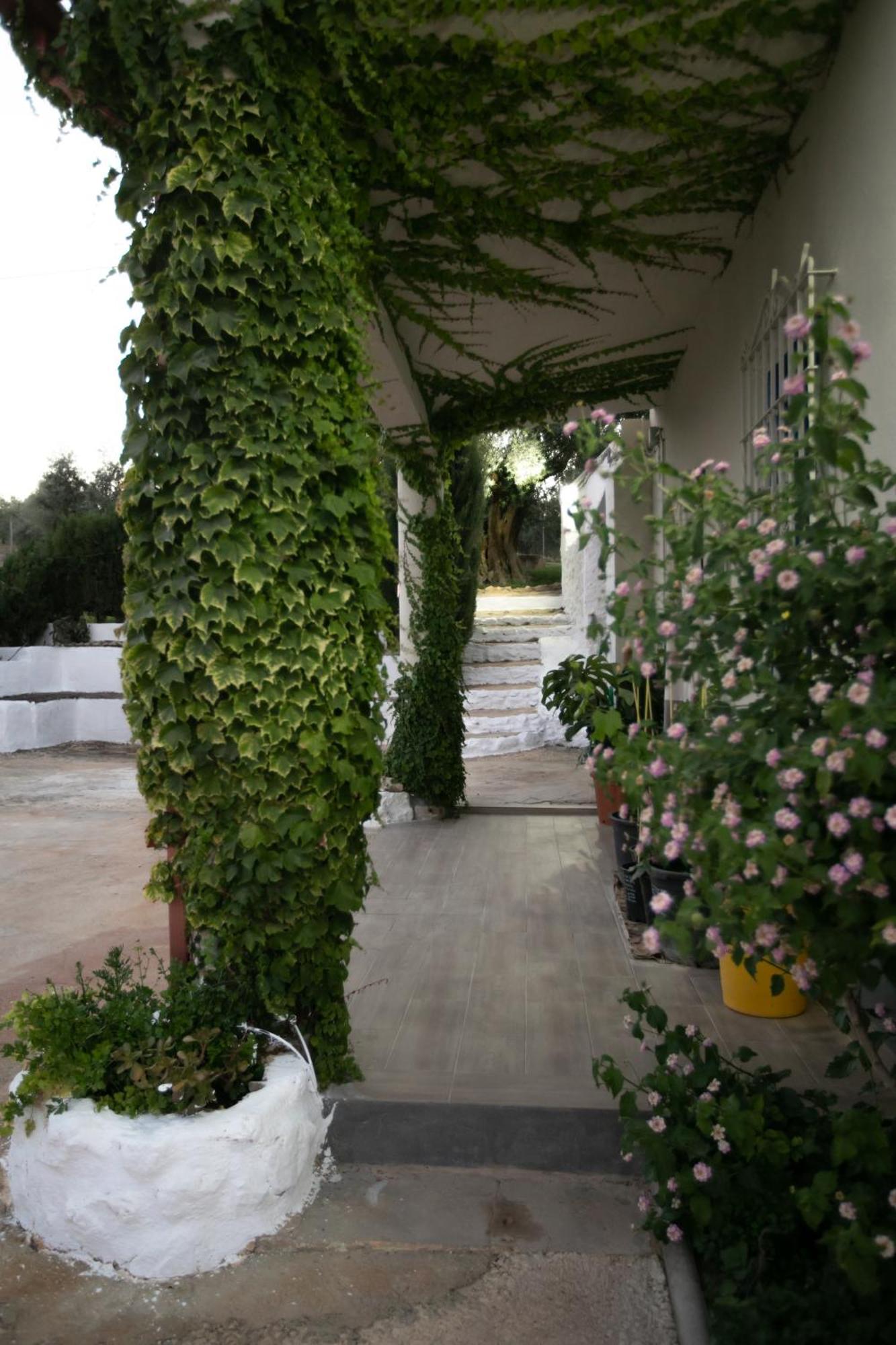 Cortijo Botanico El Cerro Villa Cabra Room photo